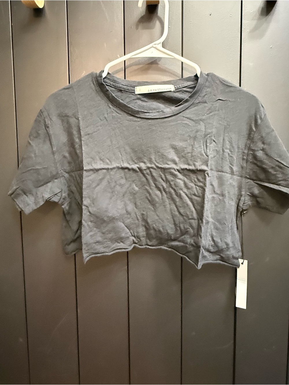 NWT Stillwater Cropped Crewneck Tee in Charcoal